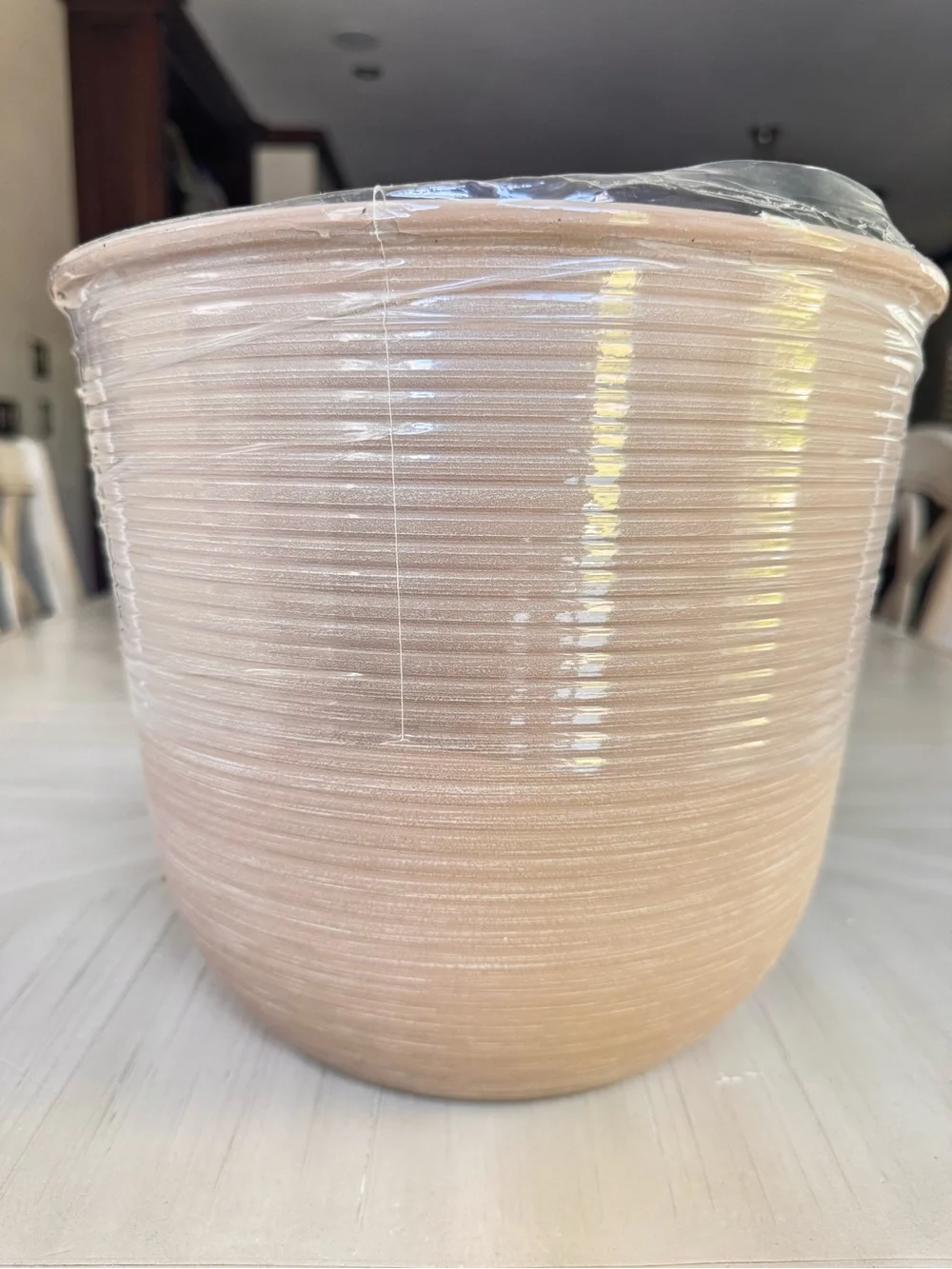 Vigoro Thatcher Medium Beige Round Planter 11.3” Plastic Pot w/ Drainage Hole